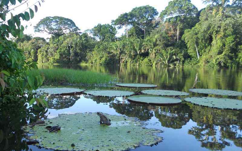Amacayacu National Natural Park -This park represents Colombia’s commitment to sustainable tourism, biodiversity conservation, and indigenous inclusion