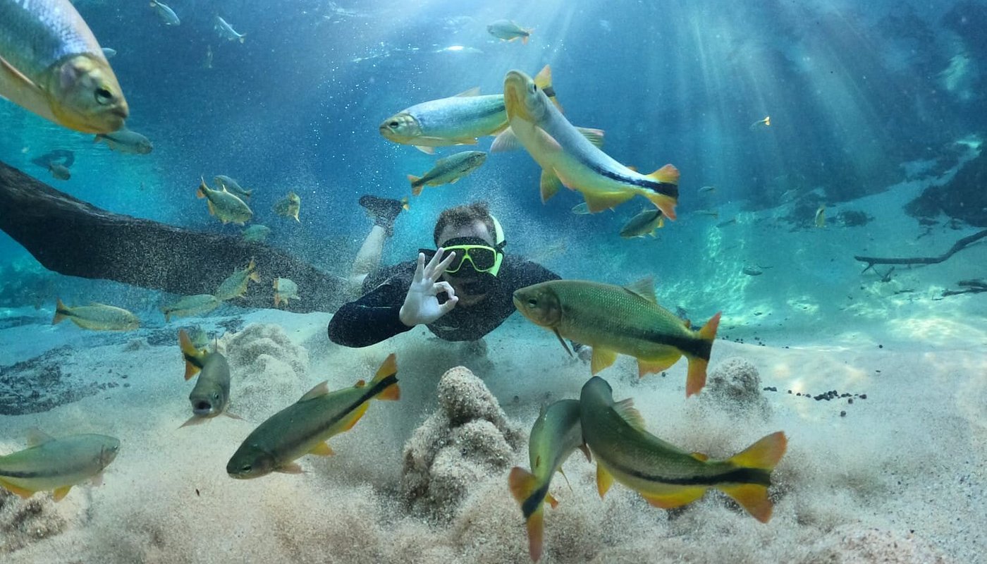 Recanto Ecológico Rio da Prata - Snorkeling
