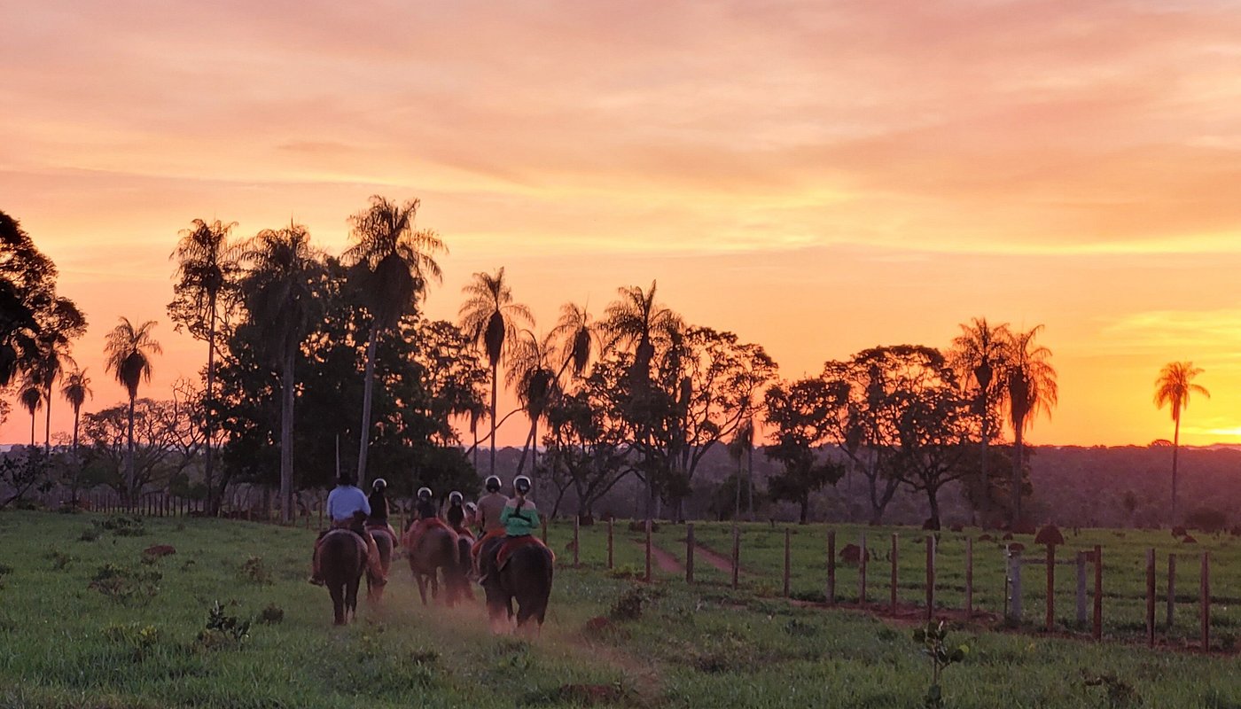 Recanto Ecológico Rio da Prata - Horseback Riding
